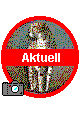 Aktuell