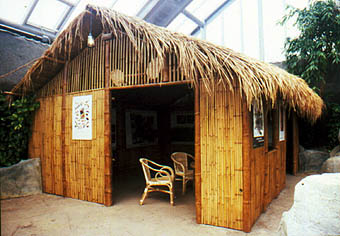 Vietnam-Hütte als Artenschutz-Ausstellung