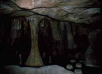 Flughund-Grotte ohne Flughunde