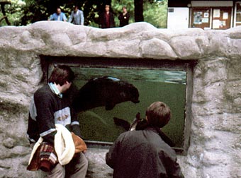 Zoo-AG im Zwiegespräch mit Seehund