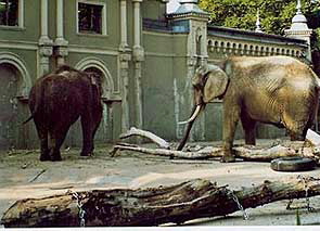 Altes Elefantenhaus