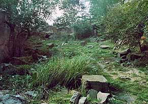 Schnee-Leopardengehege