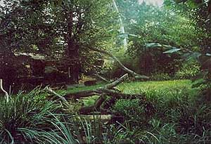 Pers. Leopardengehege