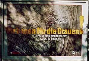 Elefantenhaus-Bauanschlag