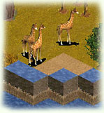 Giraffengraben