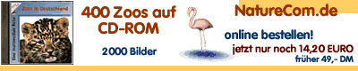 CD-Banner